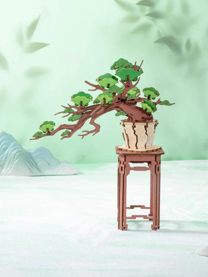 Sakura Bonsai e Bonsai de pinheiro sempre -verde