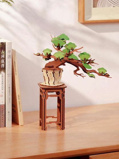 Sakura Bonsai e Bonsai de pinheiro sempre -verde