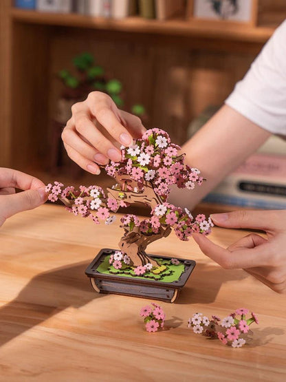Sakura Bonsai e Bonsai de pinheiro sempre -verde