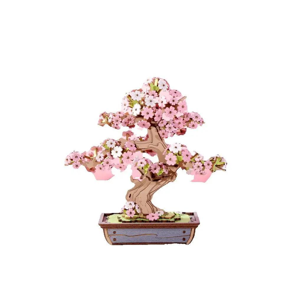 Sakura Bonsai e Bonsai de pinheiro sempre -verde