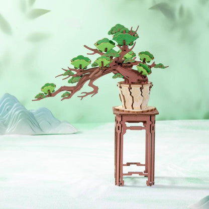 Sakura Bonsai e Bonsai de pinheiro sempre -verde